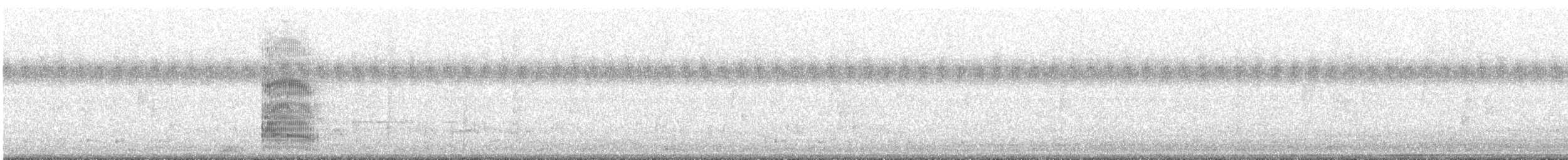 紐澳紅嘴鷗 - ML382194821
