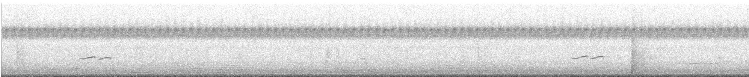 Gray-tailed Tattler - ML382204511