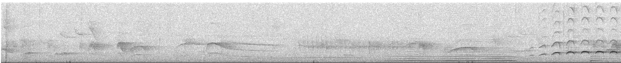 Fleckenbrust-Ameisenvogel - ML382257851