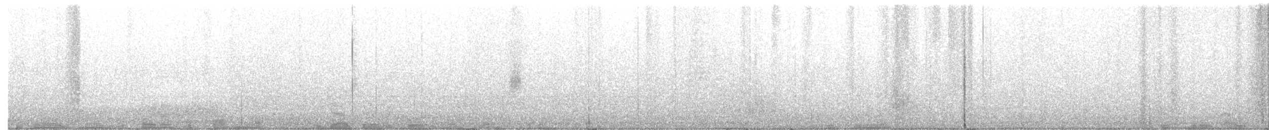 Leierschwanz-Nachtschwalbe - ML382269281