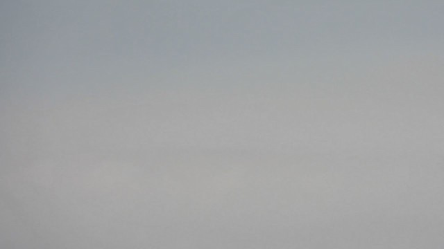 ibis černohlavý - ML382270301