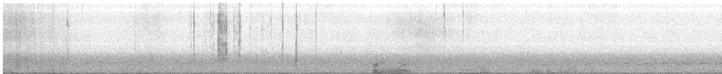Leierschwanz-Nachtschwalbe - ML382354911
