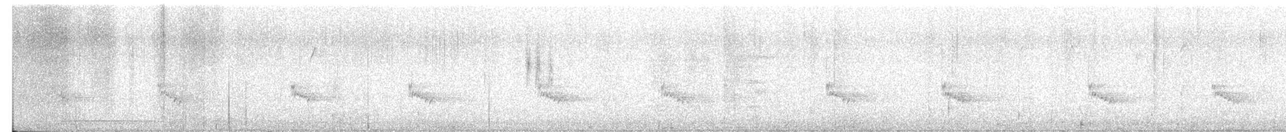 Поплітник каролінський - ML382370481