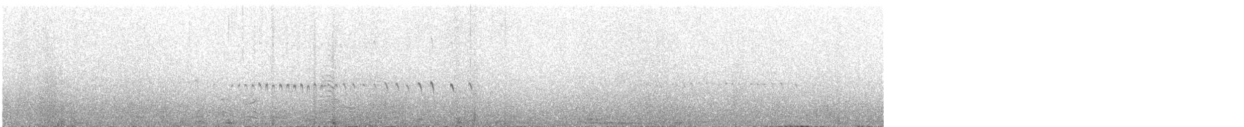 Cinclode fuligineux - ML382422021
