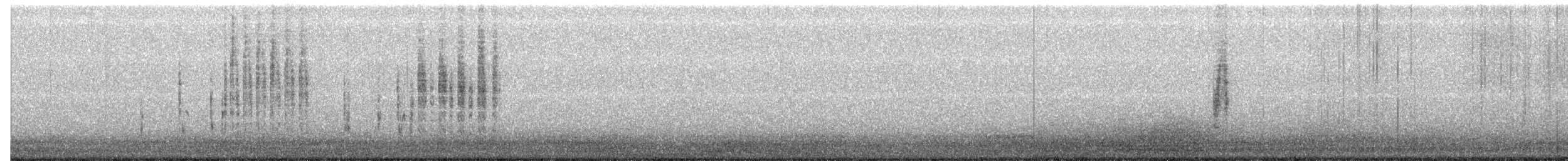Troglodyte des marais - ML382443051