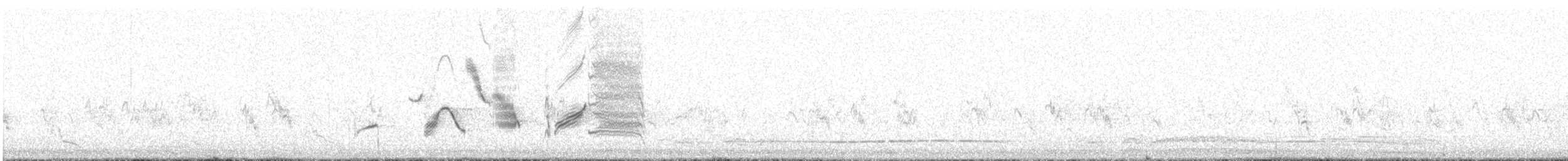 Long-tailed Meadowlark - ML382443221