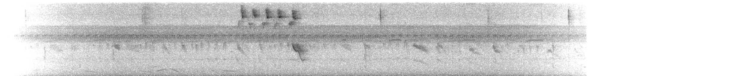 シロボシムジアマツバメ - ML382444461