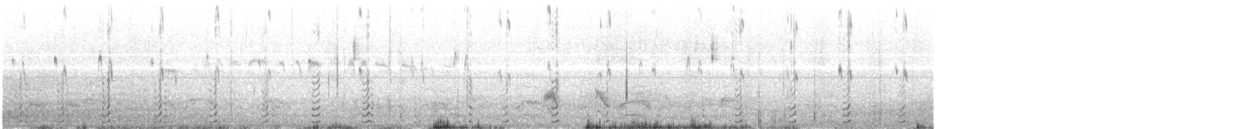 Белокрылая лысуха - ML382451291
