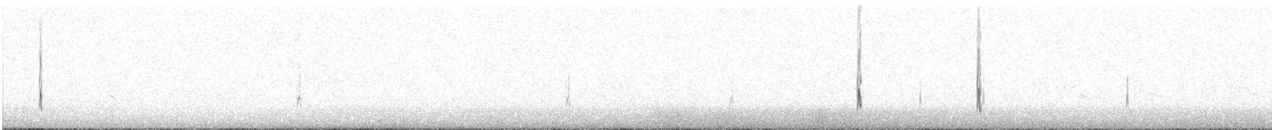 kulík patagonský - ML382452081