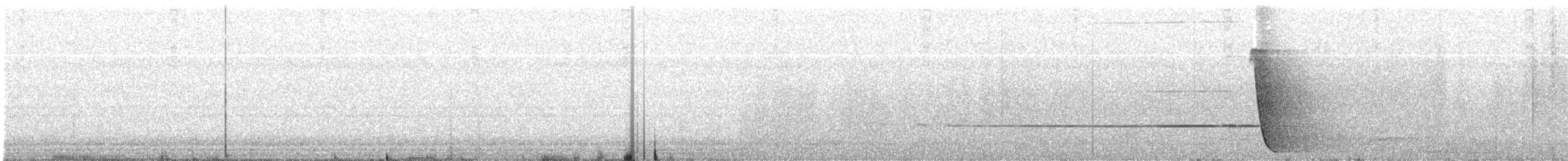Kara Göğüslü Kamçıkuşu - ML382455881