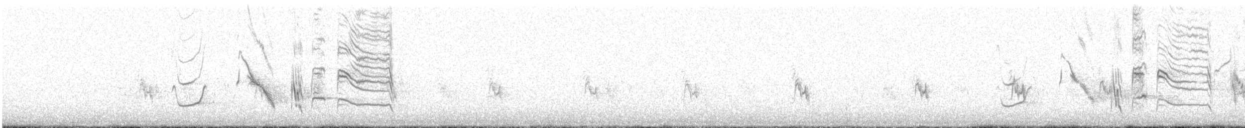 Long-tailed Meadowlark - ML382464141