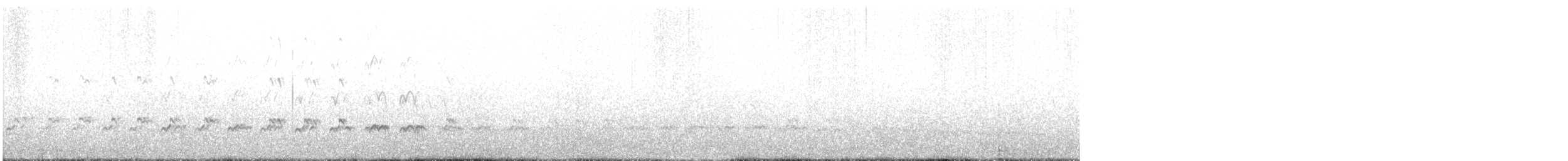 Blackish Oystercatcher - ML382471281
