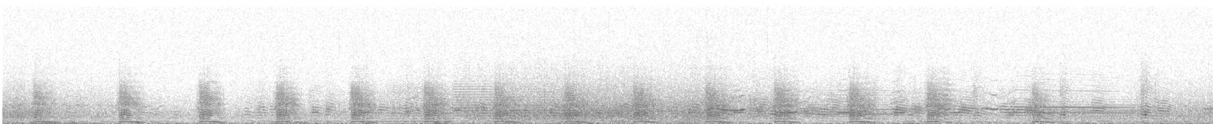 tučňák magellanský - ML382473401