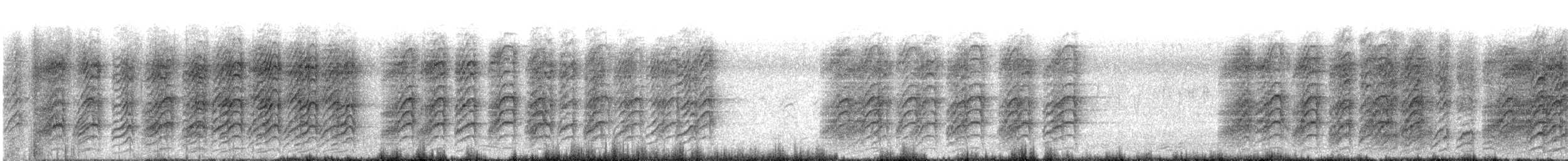 Large Gray Babbler - ML382561301