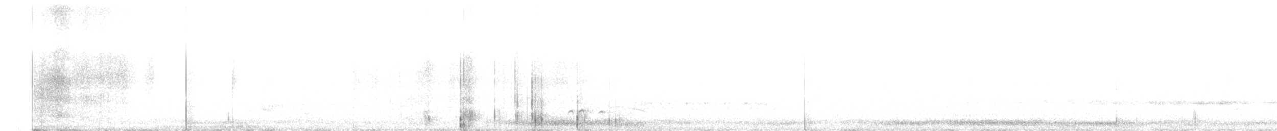maoridykkand - ML382581581