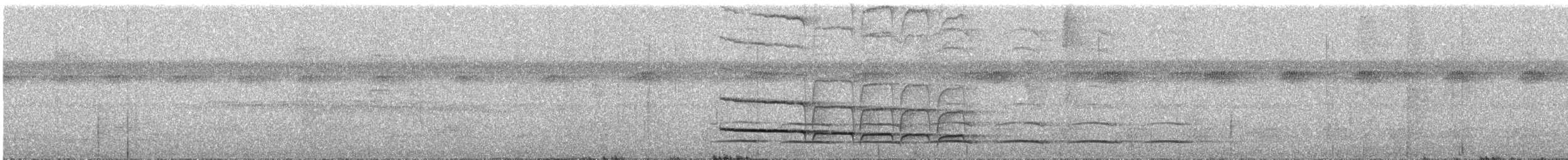 Curve-billed Scythebill - ML382587391