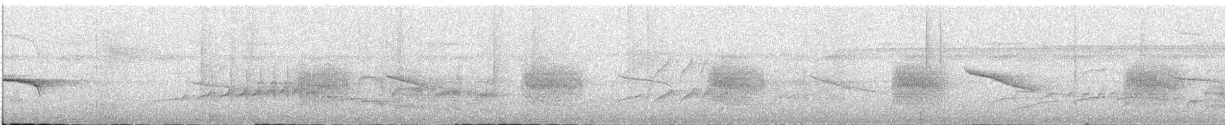 Weißgesicht-Ameisenvogel - ML382587671