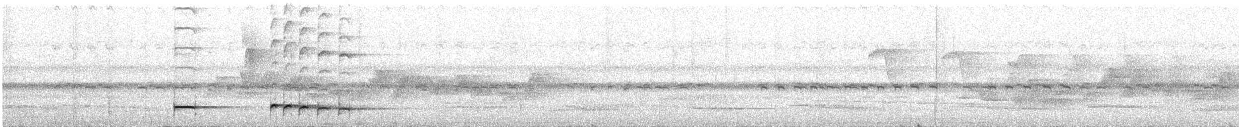 Graubrust-Ameisendrossel - ML382589751