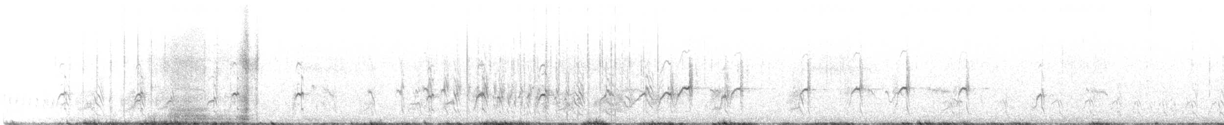 Chorlitejo Semipalmeado - ML382602391