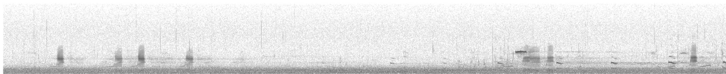 ברווז אפור (אירואסייתי) - ML382619141
