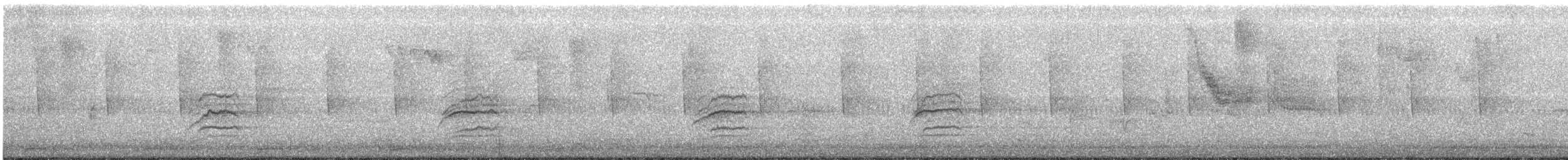 Hermit Thrush - ML382652121