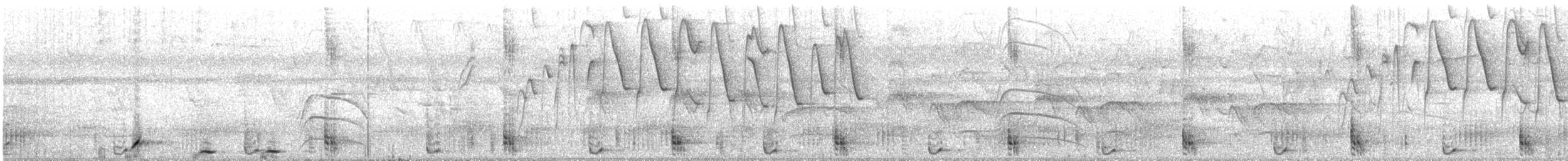 Troglodyte bicolore - ML382679821