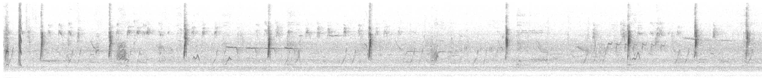 Kronenwaldsänger (Audubonwaldsänger) - ML382688131