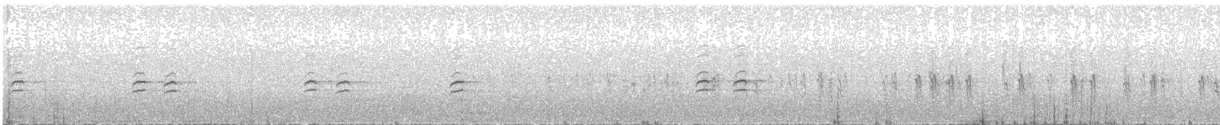 křivka bělokřídlá - ML382791971