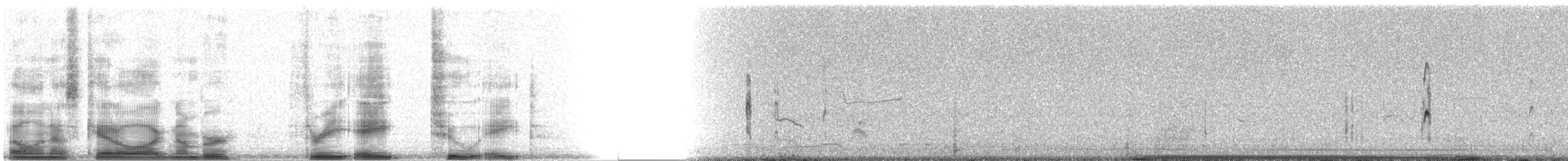 Sterna comune (hirundo/tibetana) - ML3828