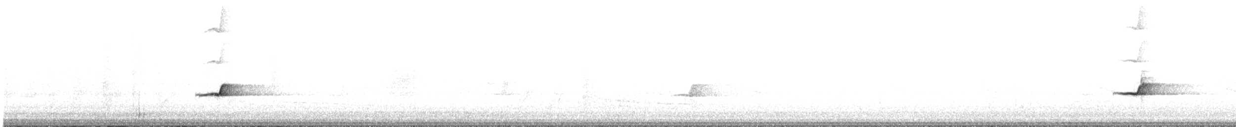 White-breasted Whistler - ML382823261