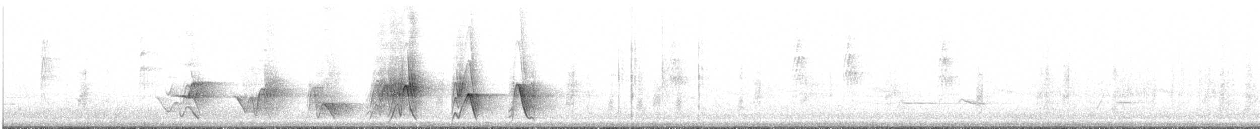 White-breasted Whistler - ML382823411
