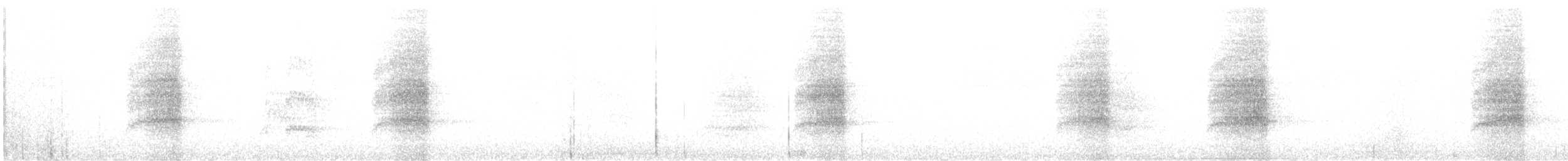 Сипуха крапчаста - ML382858991