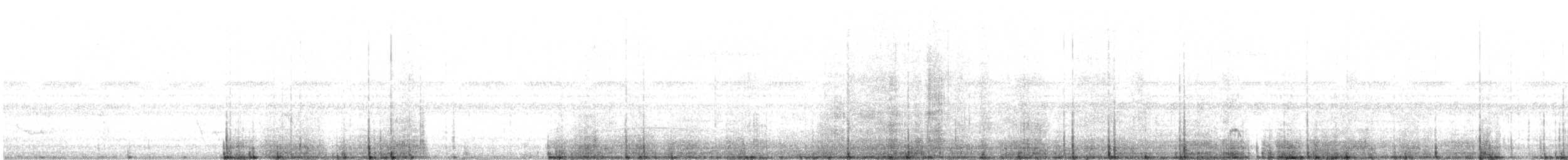 クロヒゲマユミソサザイ - ML382893581