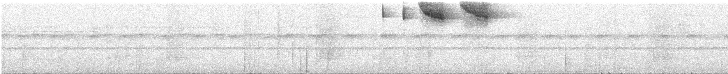 Pectoral Sparrow - ML382932461