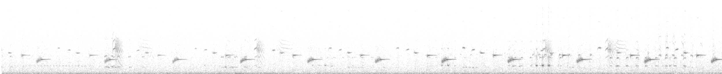 Psophode carillonneur - ML383015191