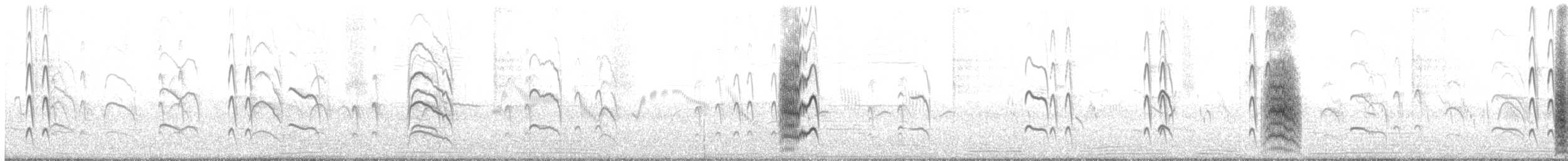 Black-fronted Tern - ML383029731