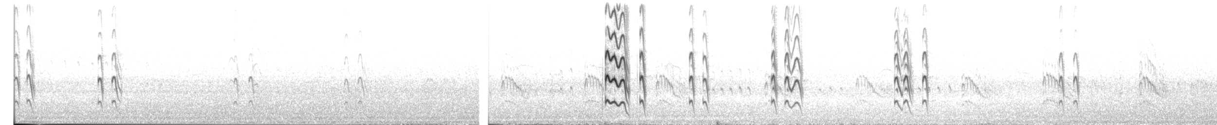 Black-fronted Tern - ML383029881