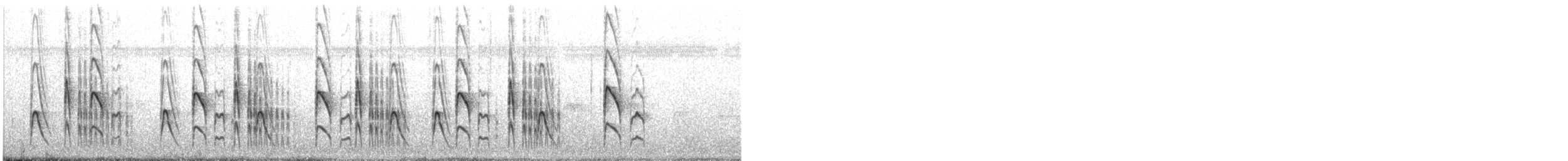 Orinoko Kuyruksallayan Tiranı [tanımlanmamış form] - ML383089311