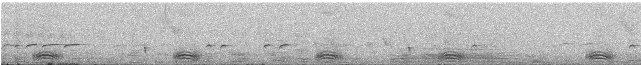 Barred Antshrike - ML383114631