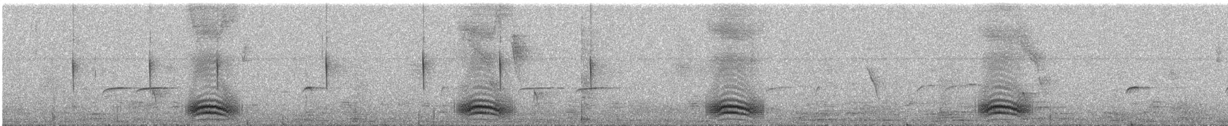 Barred Antshrike - ML383116011