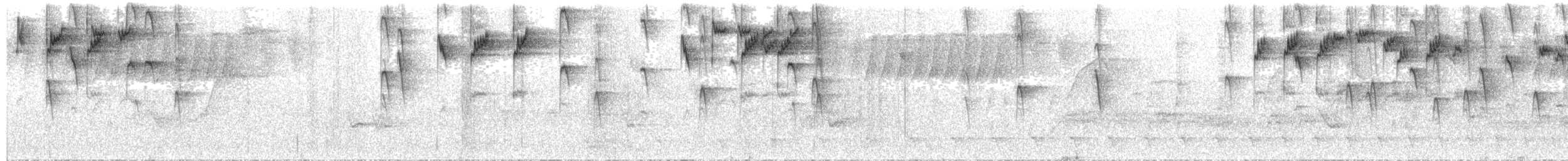 Rotbauchtangare (cyanomelas) - ML383133771