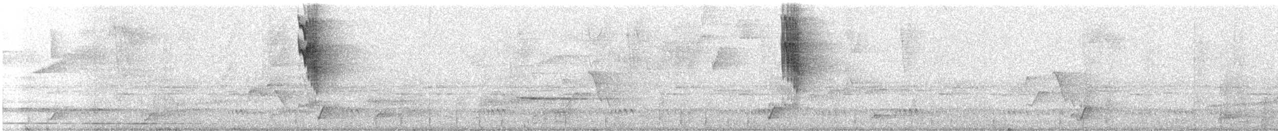 Дрізд світлогрудий - ML383147381