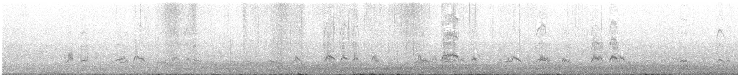 Bécasseau variable - ML383203761