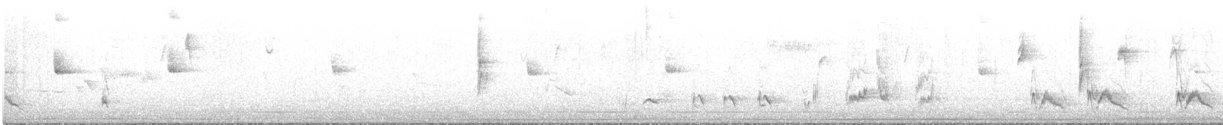 Cuitlacoche Californiano - ML383213151