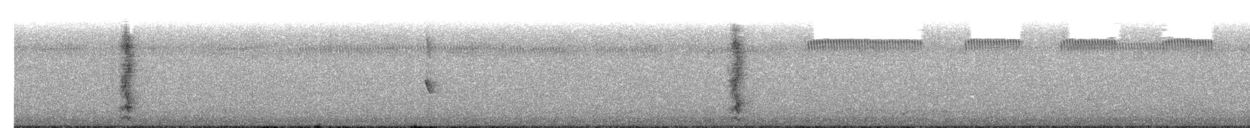 Медолюб-сережник східний - ML383230911