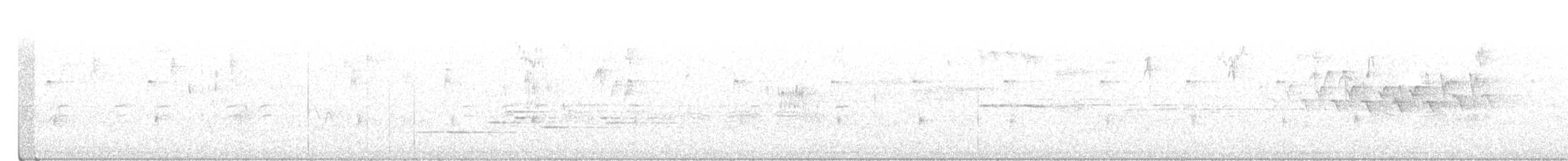Дрізд-короткодзьоб плямистоволий - ML383293321