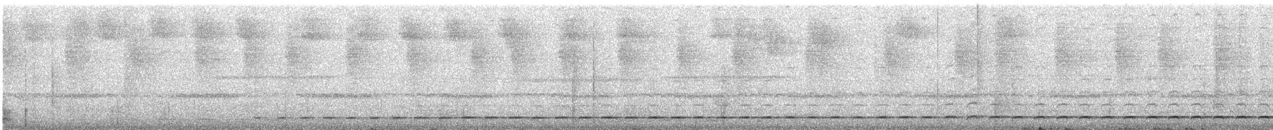 Schwartz's Antthrush - ML383327481