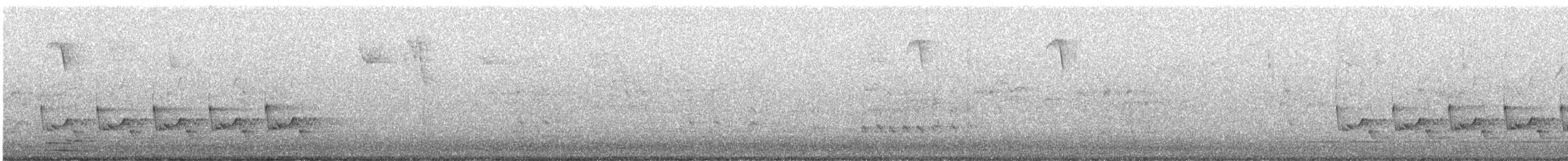 Поплітник каролінський - ML383365781