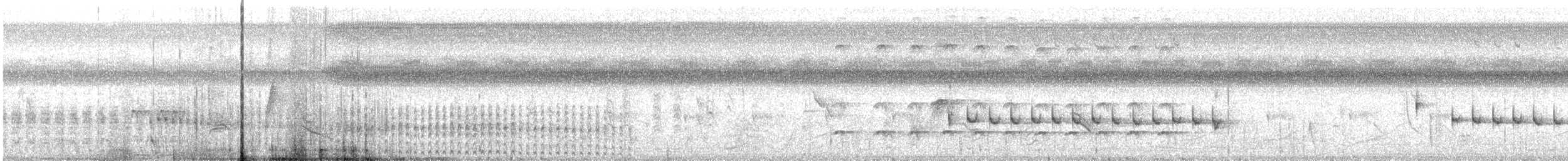 Серогрудый коростелёк - ML383399281