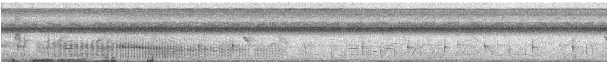 Серогрудый коростелёк - ML383402361